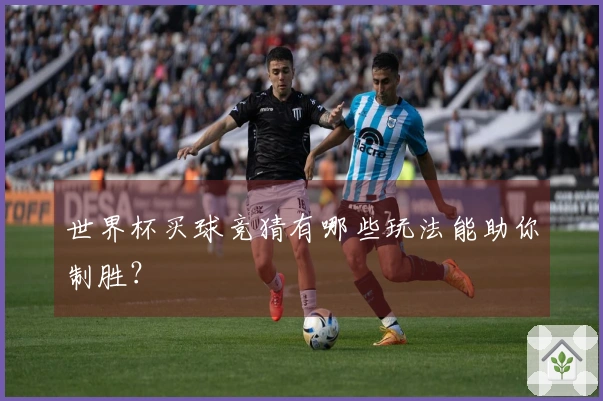 世界杯买球竞猜有哪些玩法能助你制胜？