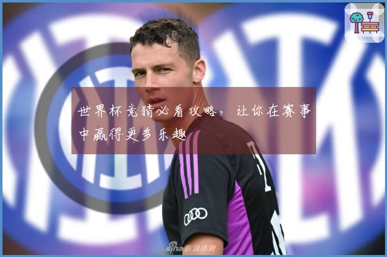 世界杯竞猜必看攻略，让你在赛事中赢得更多乐趣