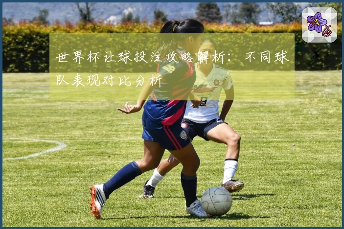 世界杯让球投注攻略解析：不同球队表现对比分析