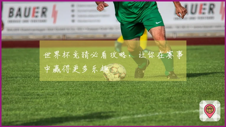 世界杯竞猜必看攻略，让你在赛事中赢得更多乐趣