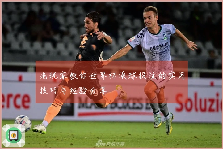 老玩家教你世界杯滚球投注的实用技巧与经验分享