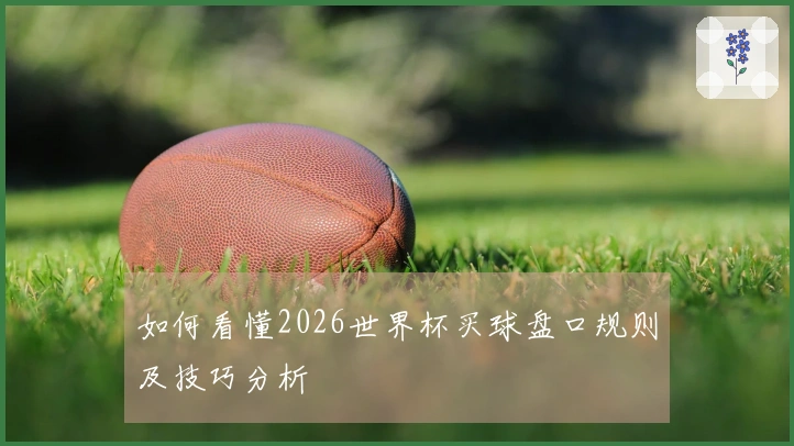 如何看懂2026世界杯买球盘口规则及技巧分析