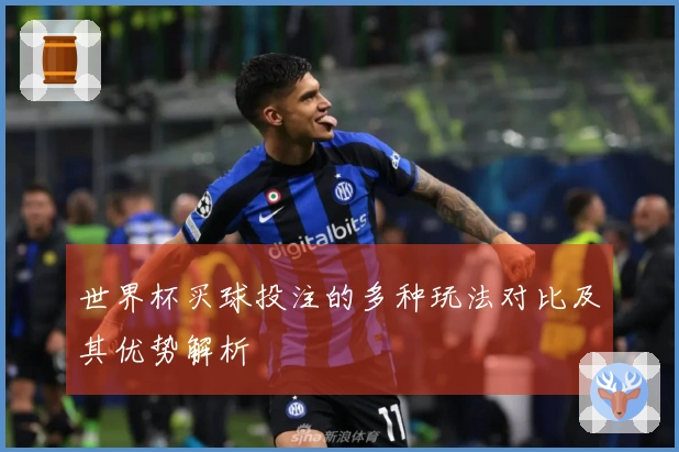 世界杯买球投注的多种玩法对比及其优势解析