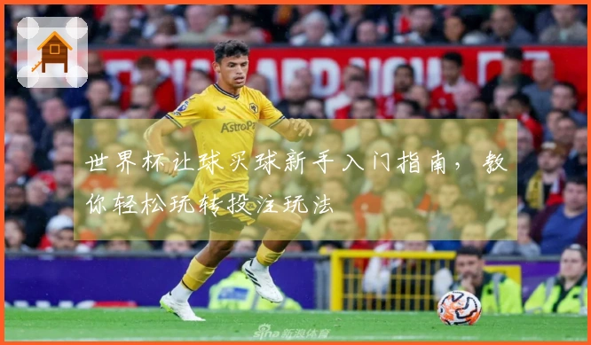 世界杯让球买球新手入门指南，教你轻松玩转投注玩法