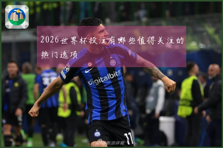 2026世界杯投注有哪些值得关注的热门选项