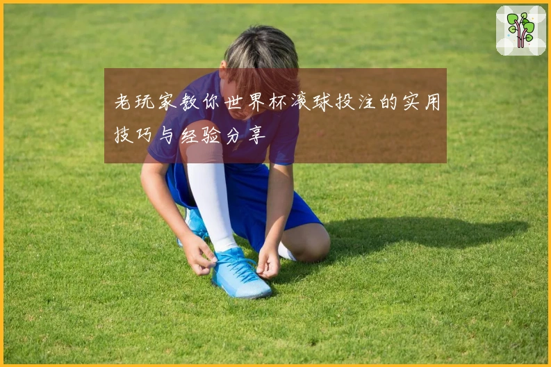 老玩家教你世界杯滚球投注的实用技巧与经验分享