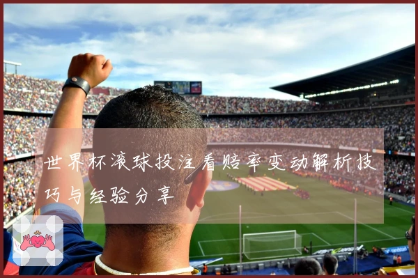 世界杯滚球投注看赔率变动解析技巧与经验分享